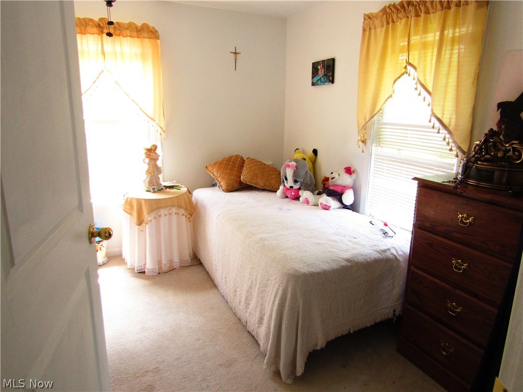 8973 Manes Road Orwell, OH 44076 - Photo 25 of 30