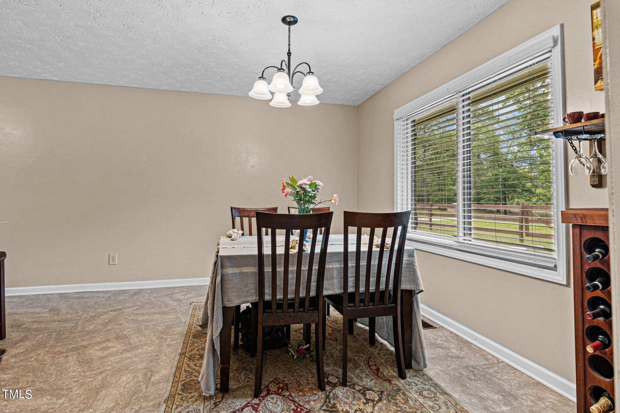 7690 Arabia Road Lumber Bridge, NC 28357 - Photo 21 of 45 23-web-or-mls-707A8596