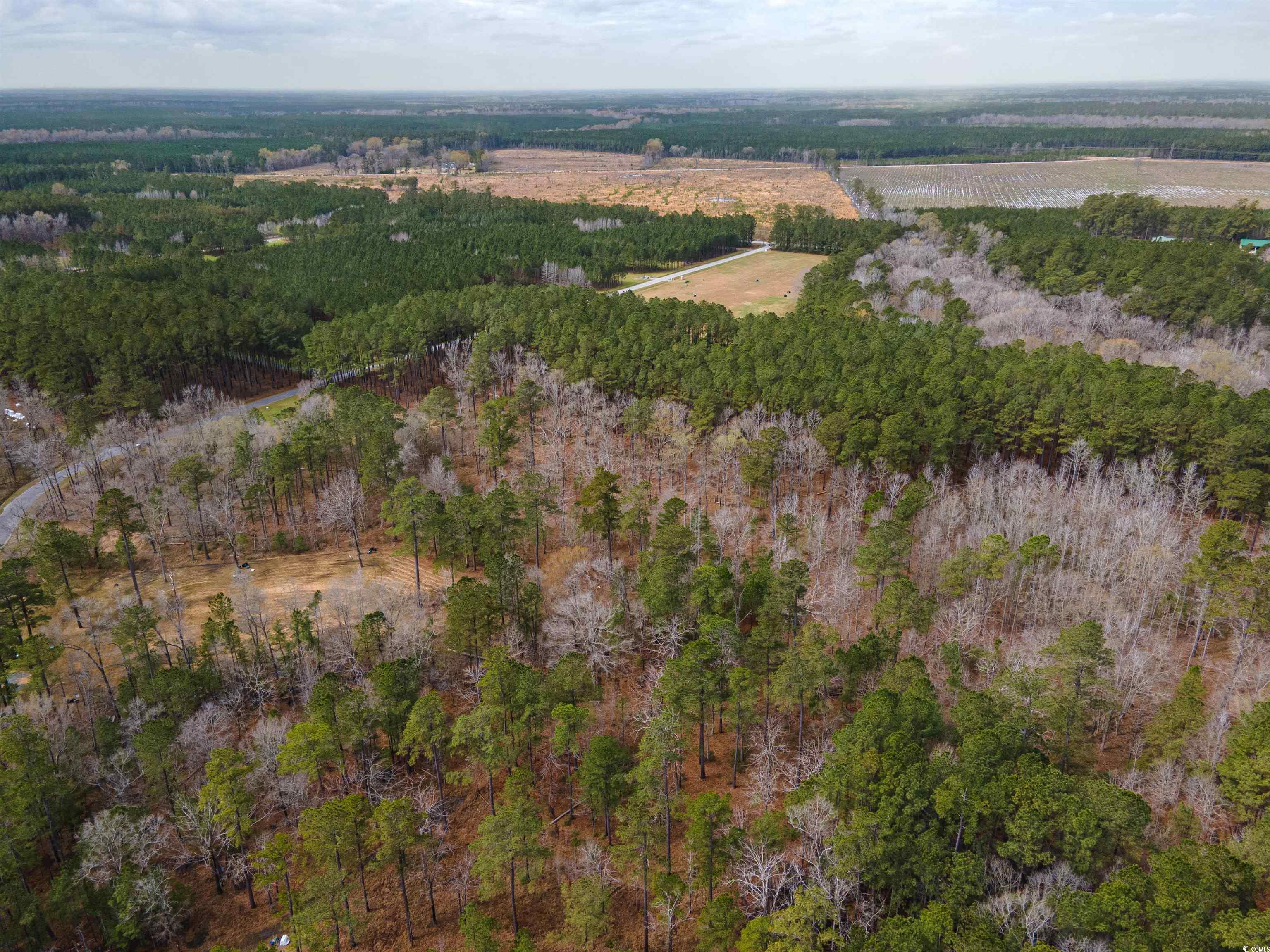 415 Whiskey Lane Georgetown, SC 29440 - Photo 12 of 40 Gallery Image 12