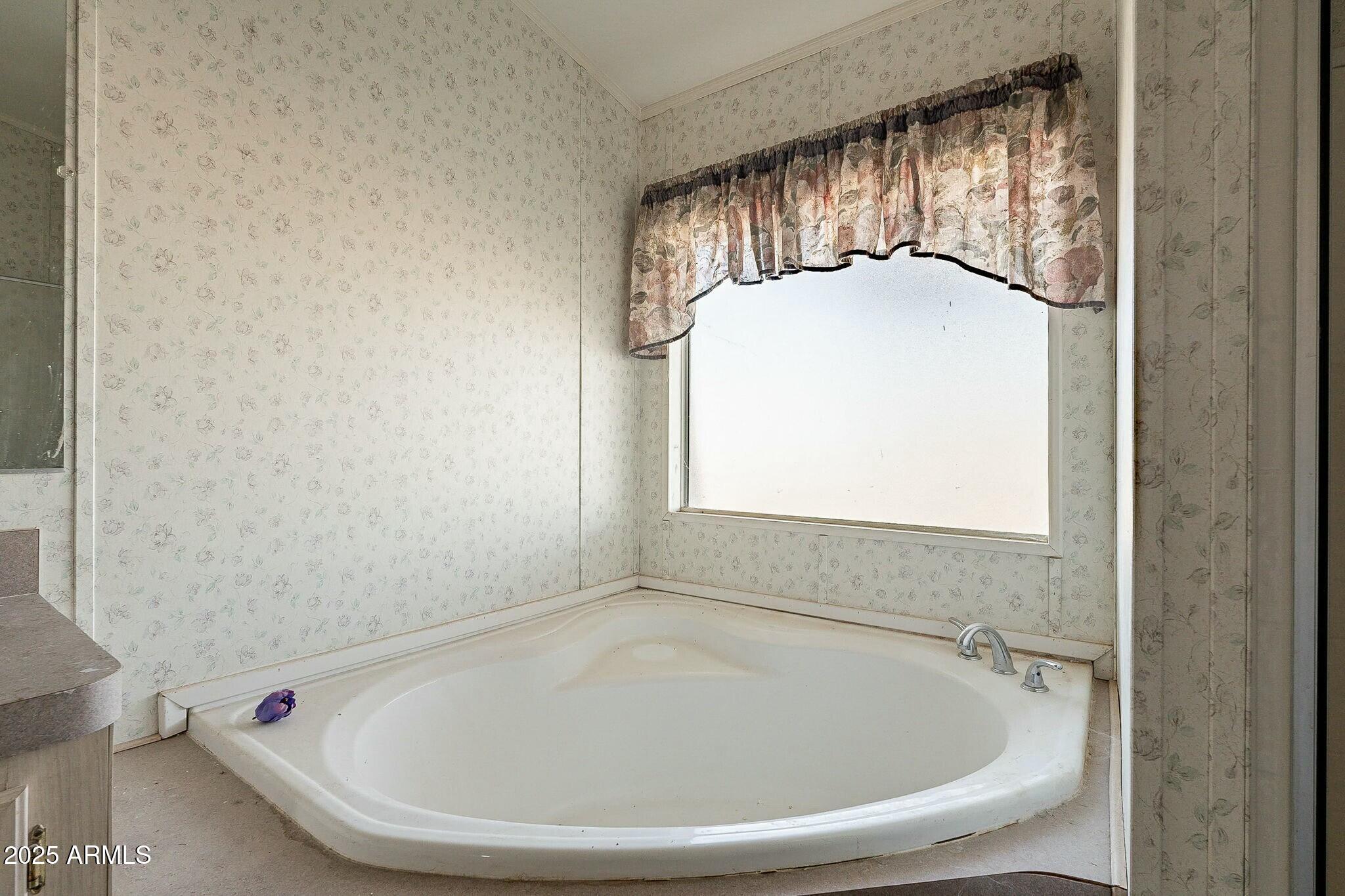 20432 West Carver Road Buckeye, AZ 85326 - Photo 27 of 66 tempImagezO9O3L