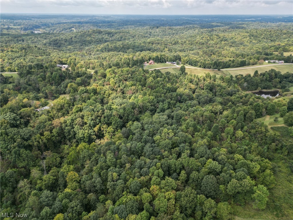 0 Barnett Ridge Road Belpre, OH 45714 - Photo 20 of 35 Birds eye view of property