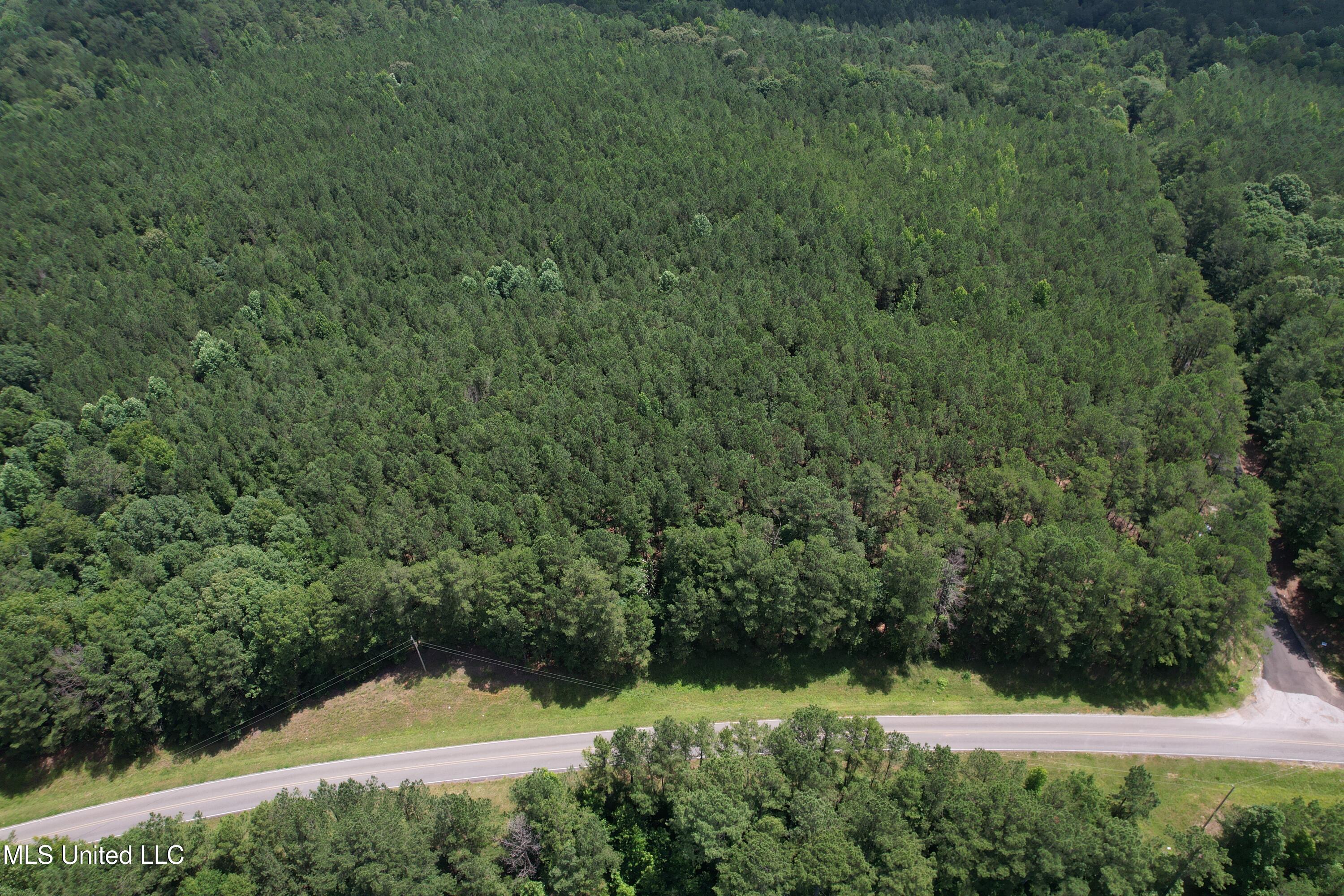 5204 County Road Ethel, MS 39067 - Photo 12 of 37 DJI_0781