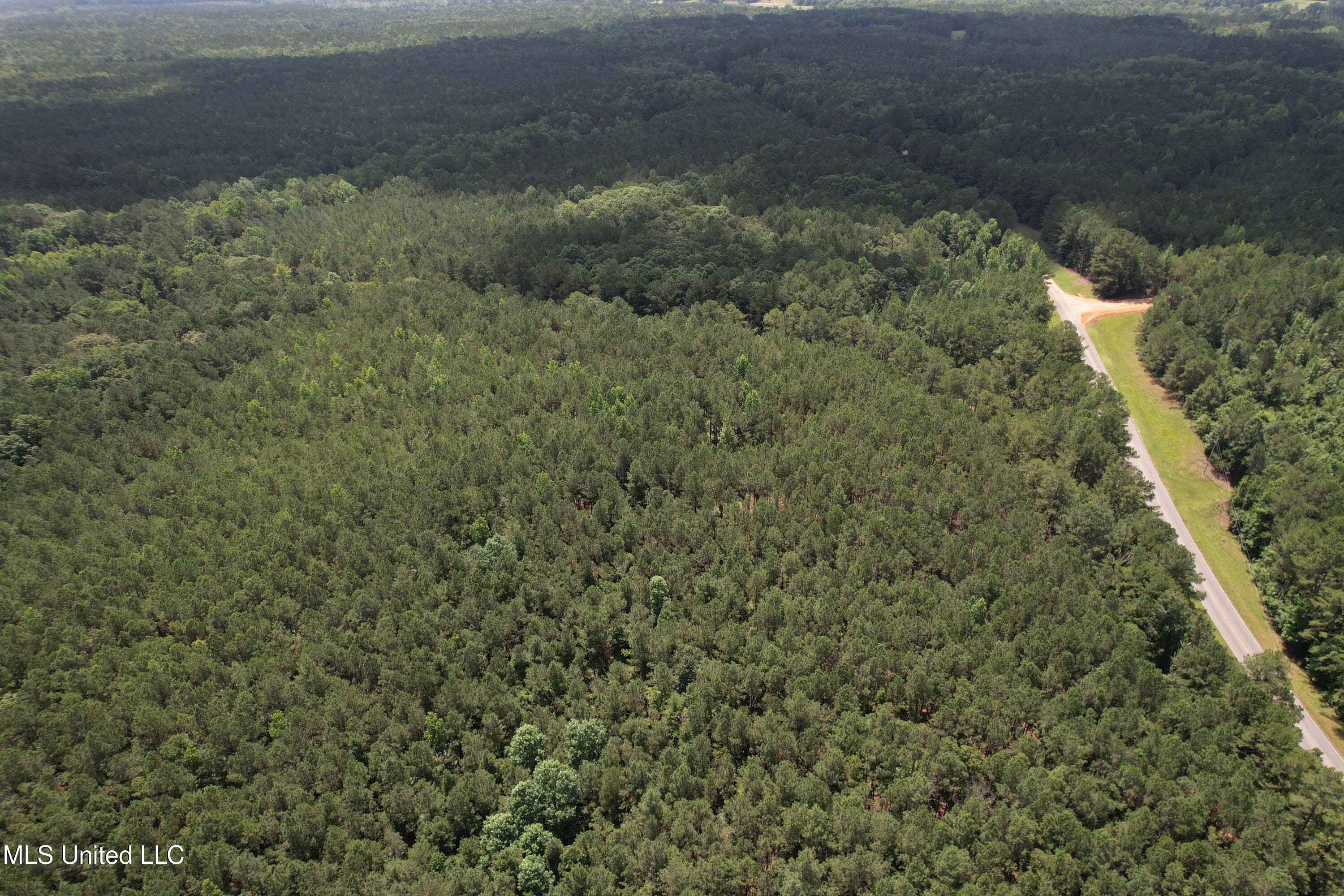 5204 County Road Ethel, MS 39067 - Photo 13 of 37 DJI_0782