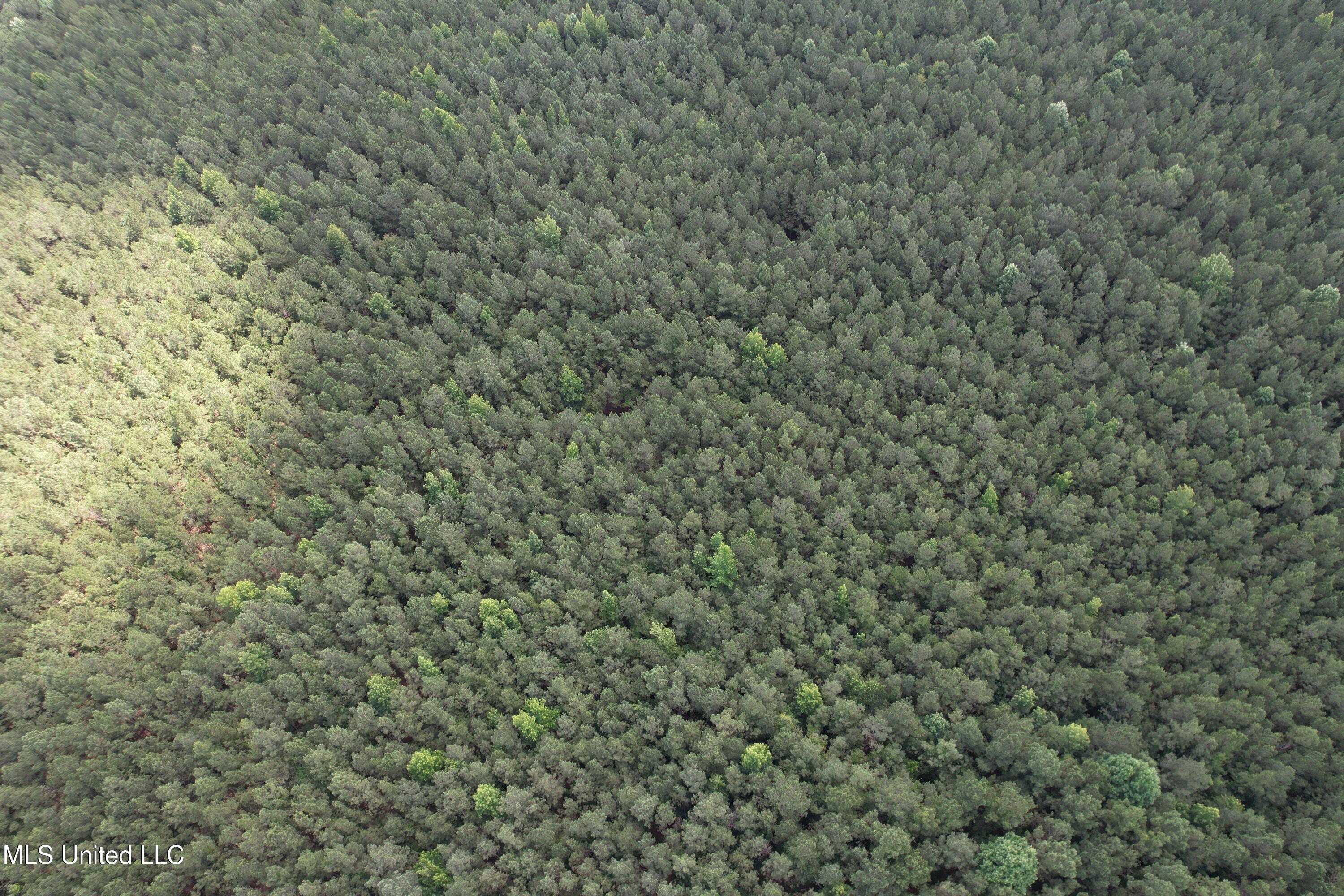 5204 County Road Ethel, MS 39067 - Photo 14 of 37 DJI_0785