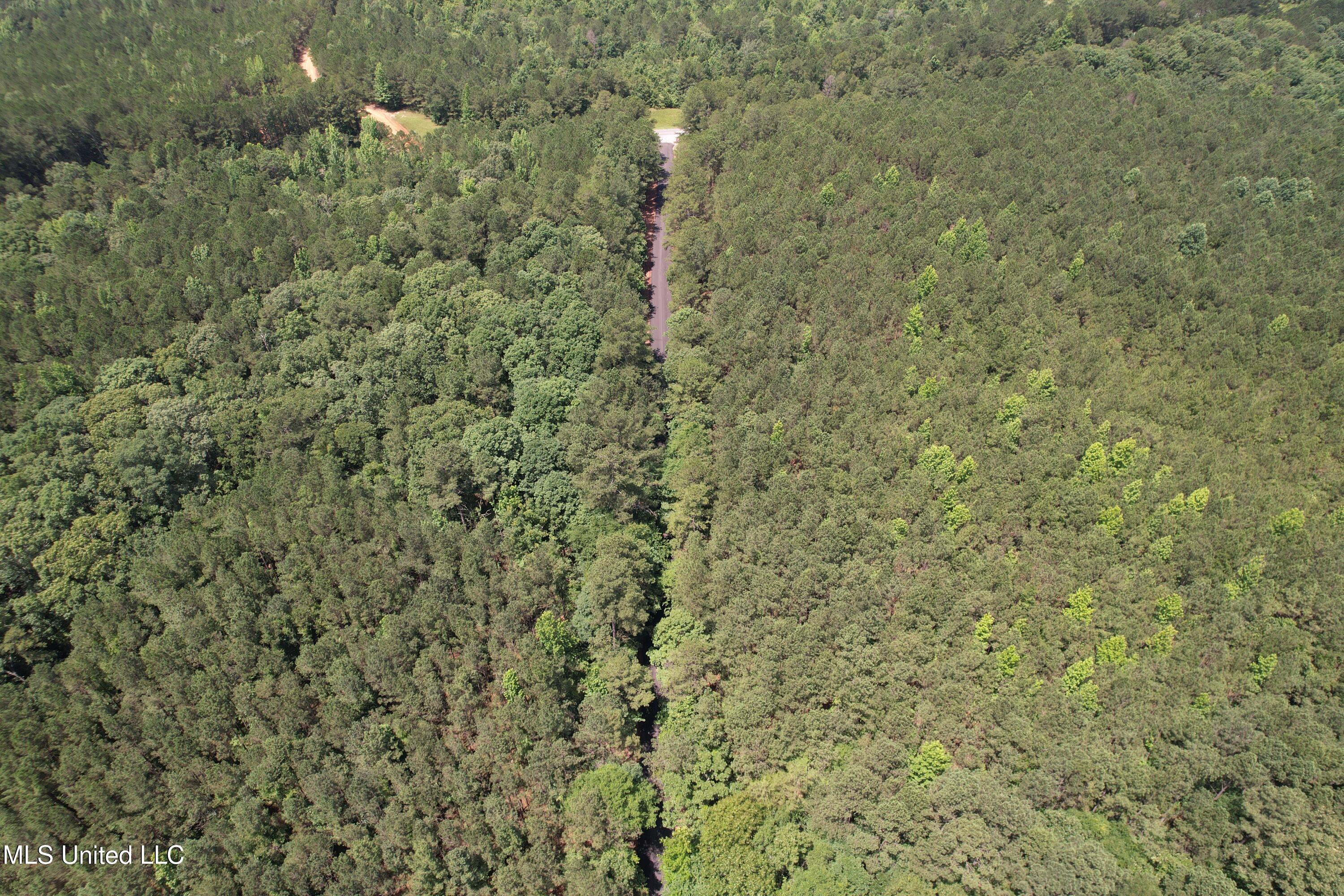 5204 County Road Ethel, MS 39067 - Photo 16 of 37 DJI_0788