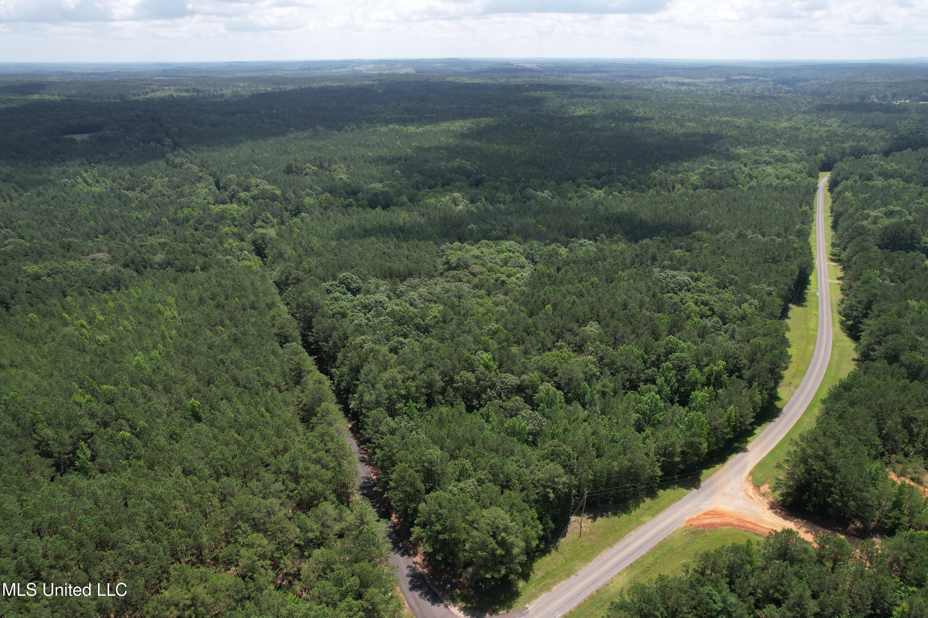 5204 County Road Ethel, MS 39067 - Photo 17 of 37 DJI_0789