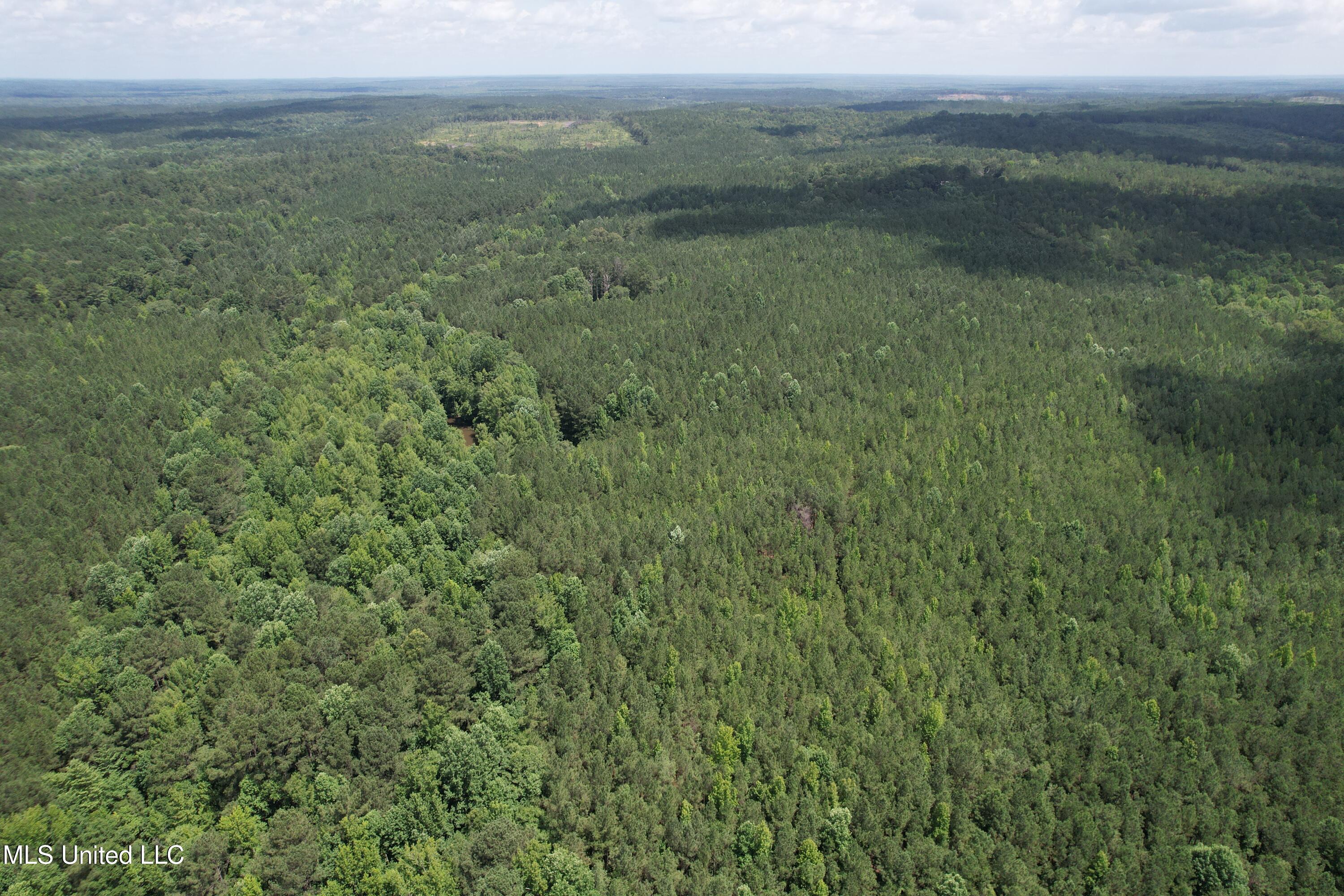 5204 County Road Ethel, MS 39067 - Photo 18 of 37 DJI_0791