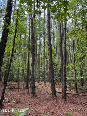 $347,000 | 5204 County Road, Ethel, MS 39067