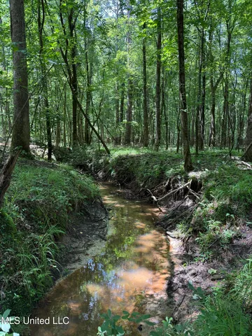 $347,000 | 5204 County Road, Ethel, MS 39067