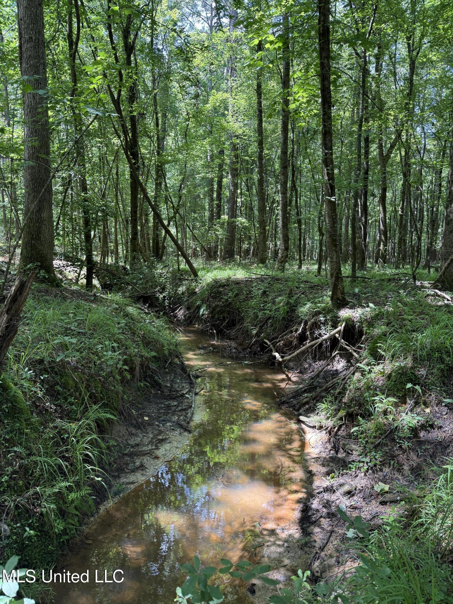 5204 County Road Ethel, MS 39067 - Photo 21 of 37 IMG_5552