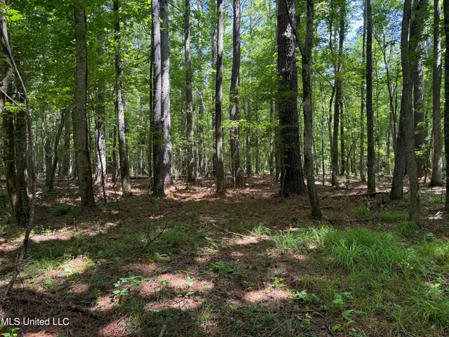 $347,000 | 5204 County Road, Ethel, MS 39067