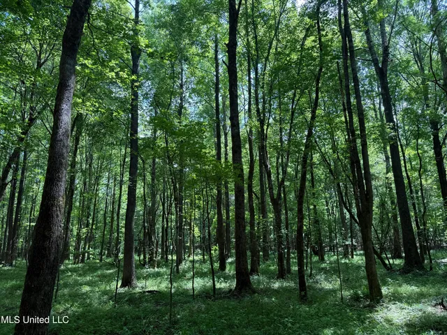 $347,000 | 5204 County Road, Ethel, MS 39067