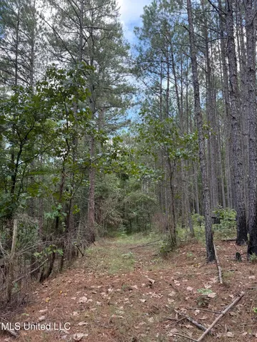 $347,000 | 5204 County Road, Ethel, MS 39067