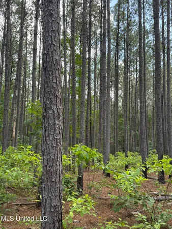 $347,000 | 5204 County Road, Ethel, MS 39067