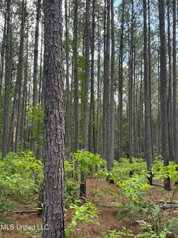 $347,000 | 5204 County Road, Ethel, MS 39067