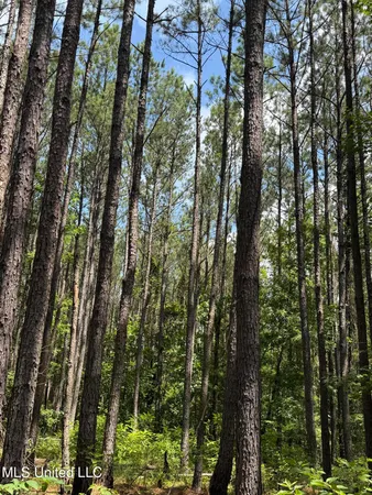 $347,000 | 5204 County Road, Ethel, MS 39067