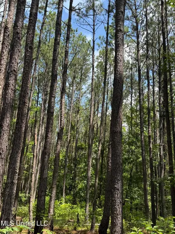 $347,000 | 5204 County Road, Ethel, MS 39067