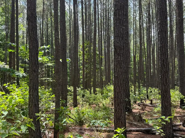 $347,000 | 5204 County Road, Ethel, MS 39067