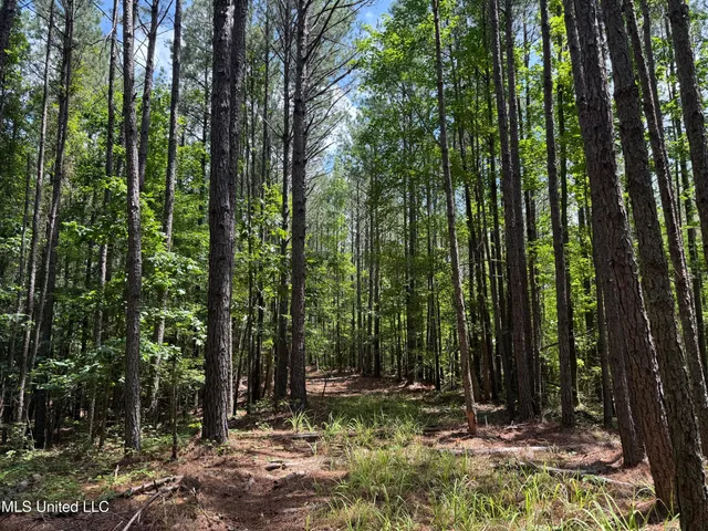 $347,000 | 5204 County Road, Ethel, MS 39067