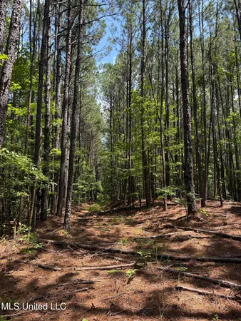 $347,000 | 5204 County Road, Ethel, MS 39067