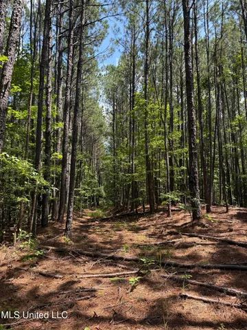 $347,000 | 5204 County Road, Ethel, MS 39067