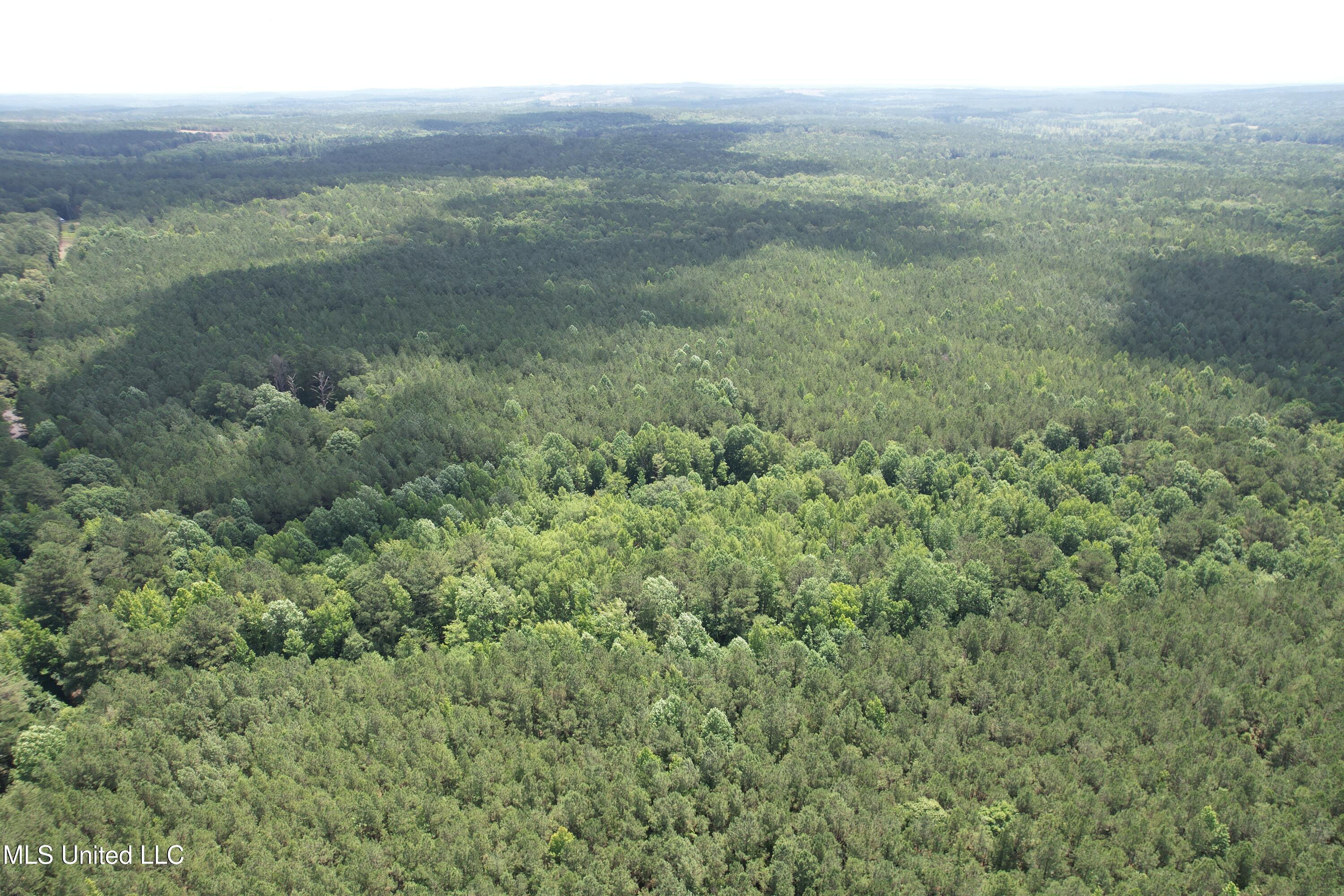 5204 County Road Ethel, MS 39067 - Photo 3 of 37 3