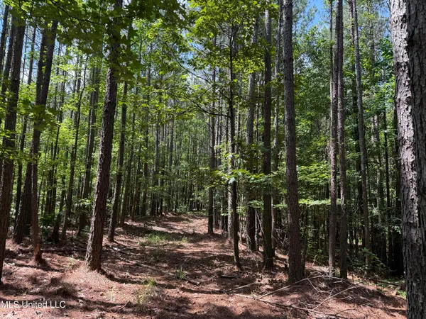 $347,000 | 5204 County Road, Ethel, MS 39067