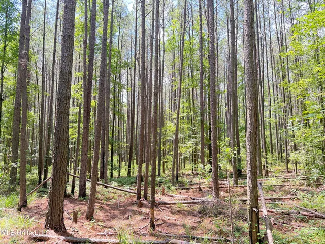 $347,000 | 5204 County Road, Ethel, MS 39067