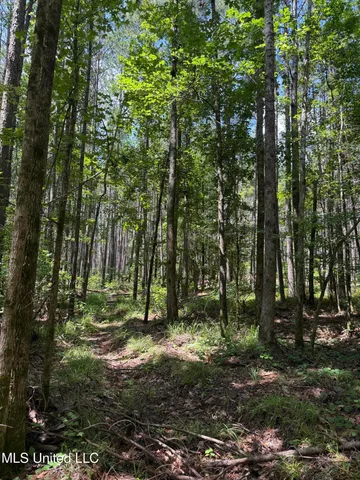 $347,000 | 5204 County Road, Ethel, MS 39067