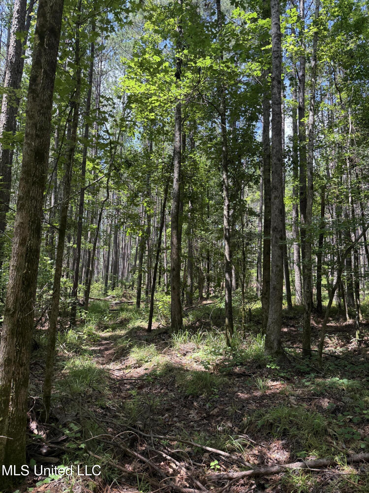 5204 County Road Ethel, MS 39067 - Photo 33 of 37 IMG_5571