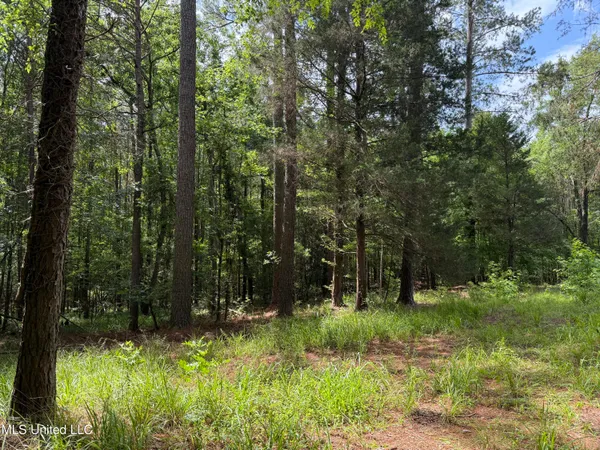 $347,000 | 5204 County Road, Ethel, MS 39067
