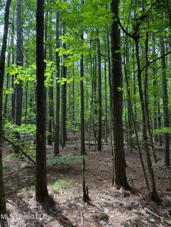 $347,000 | 5204 County Road, Ethel, MS 39067