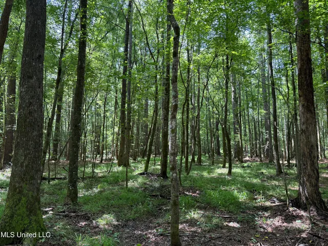 $347,000 | 5204 County Road, Ethel, MS 39067