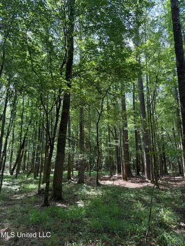 $347,000 | 5204 County Road, Ethel, MS 39067