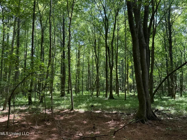 $347,000 | 5204 County Road, Ethel, MS 39067