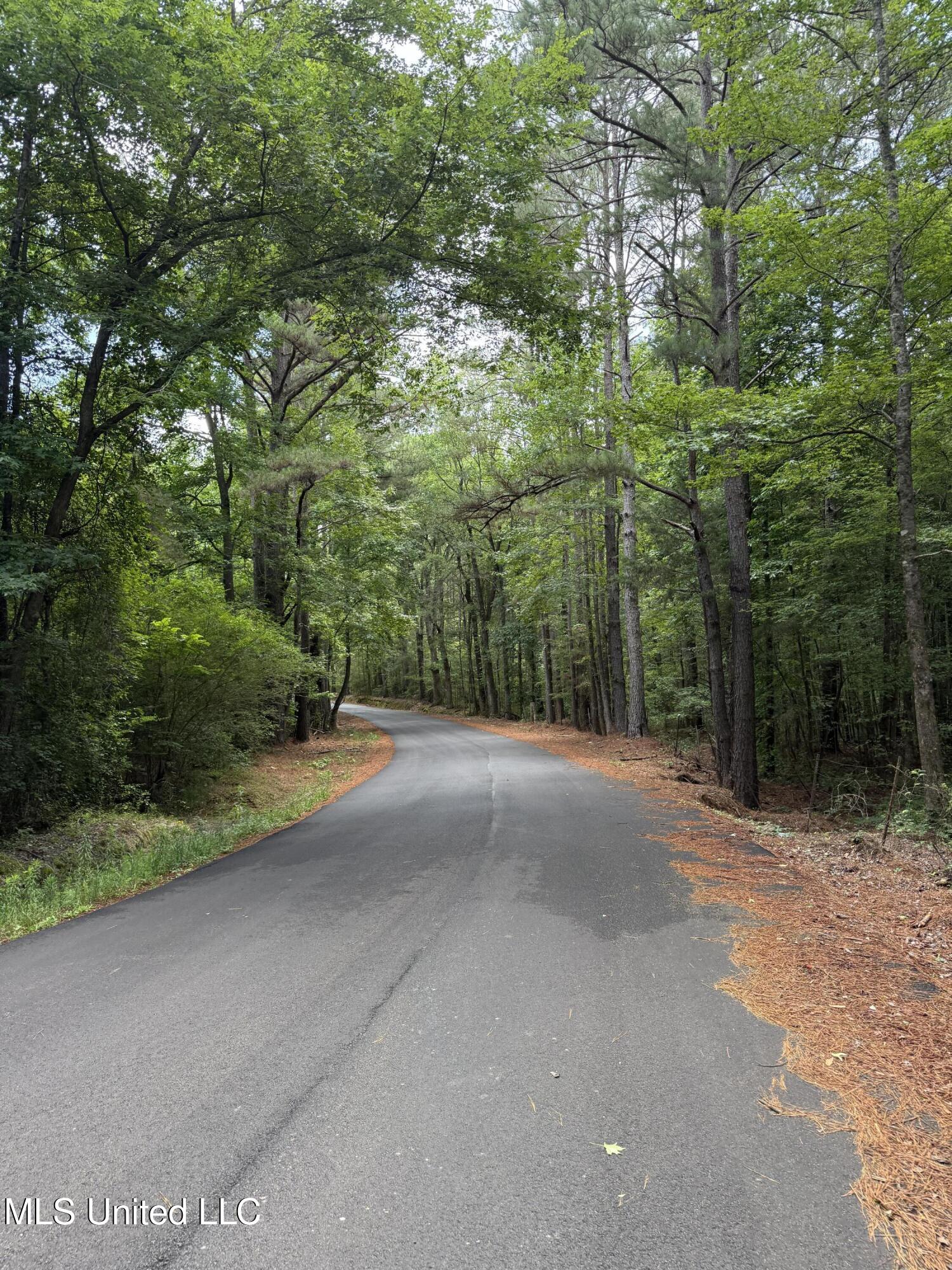 5204 County Road Ethel, MS 39067 - Photo 10 of 37 Cover