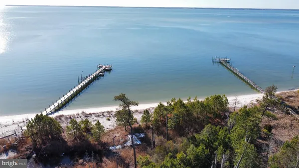 a close up of a plant in a bathroom