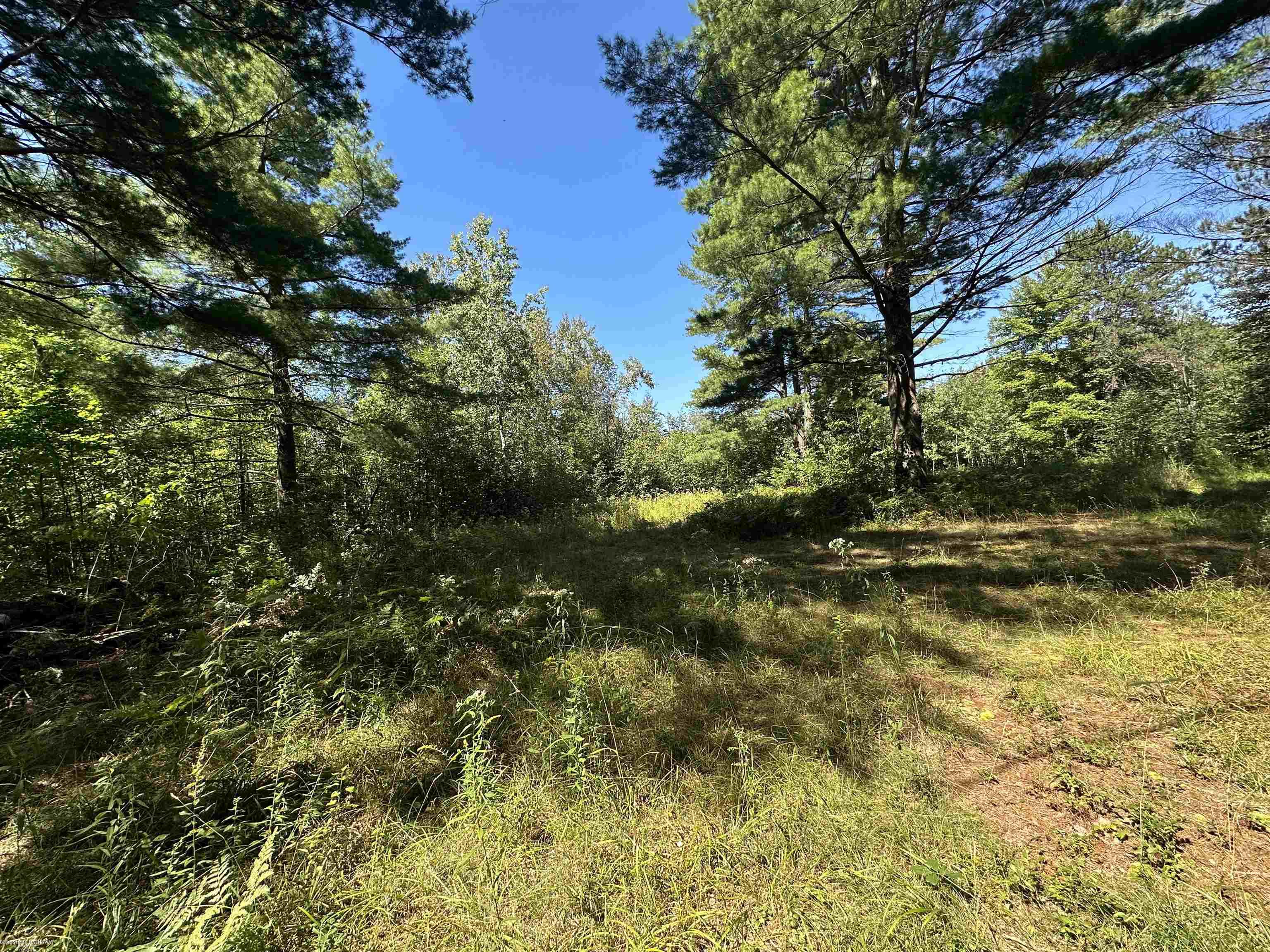 0 Long Lake Road Hale, MI 48739 - Photo 6 of 20