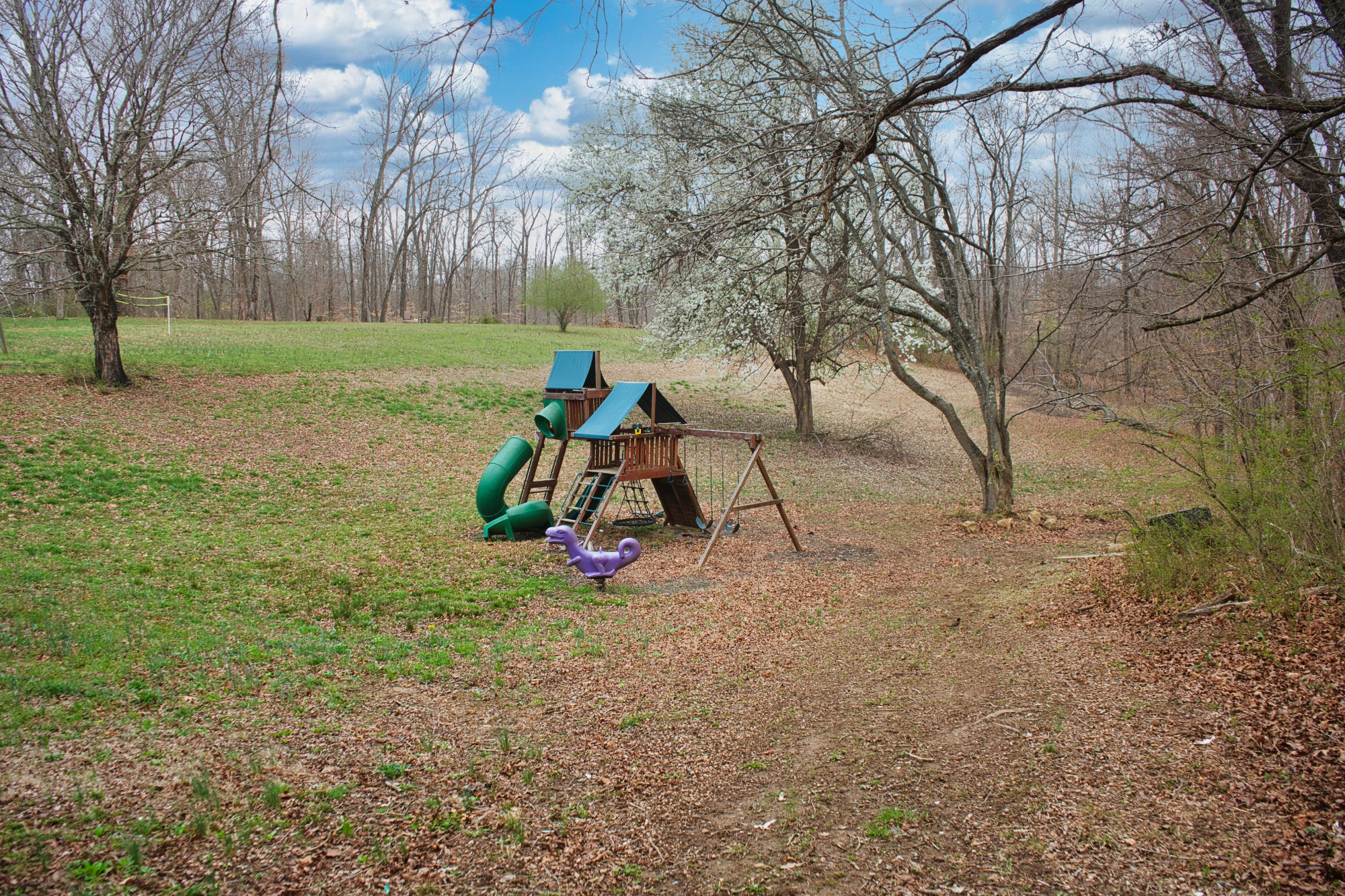 3079 Trace Creek Road White Bluff, TN 37187 - Photo 8 of 35 a view of a park with large trees