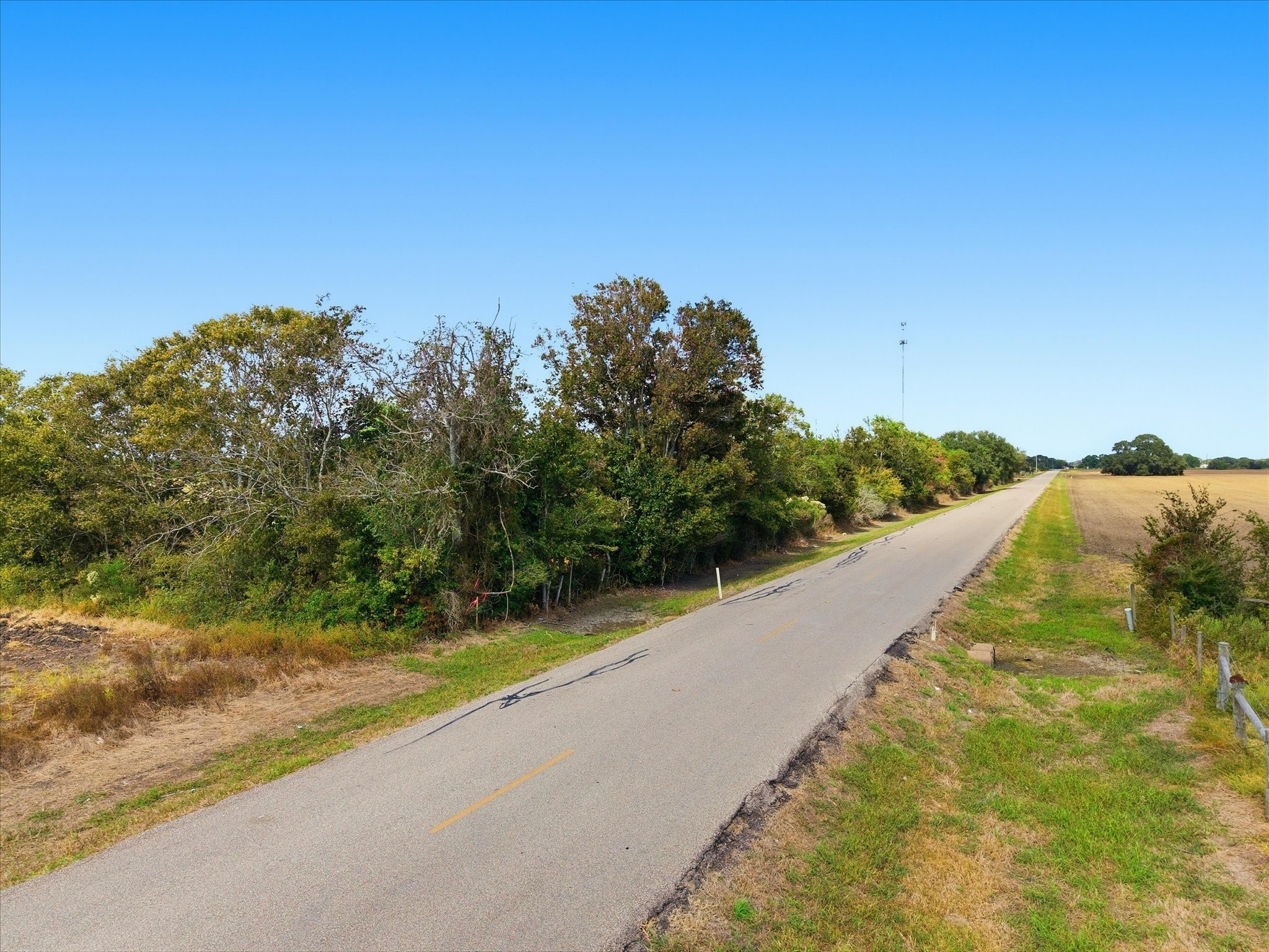 Lot 8 Cow Creek Road Damon, TX 77430 - Photo 11 of 12