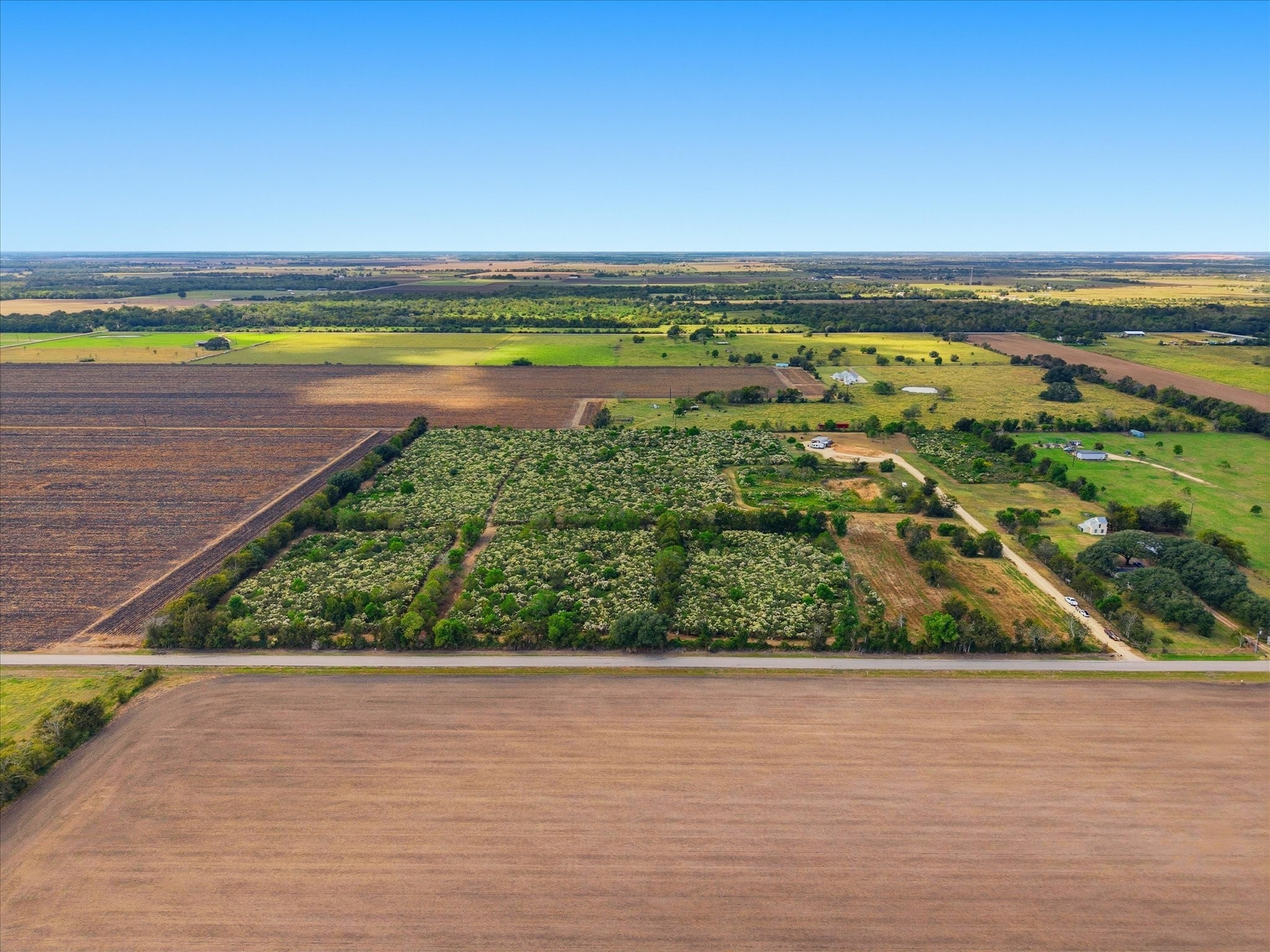 Lot 8 Cow Creek Road Damon, TX 77430 - Photo 4 of 12