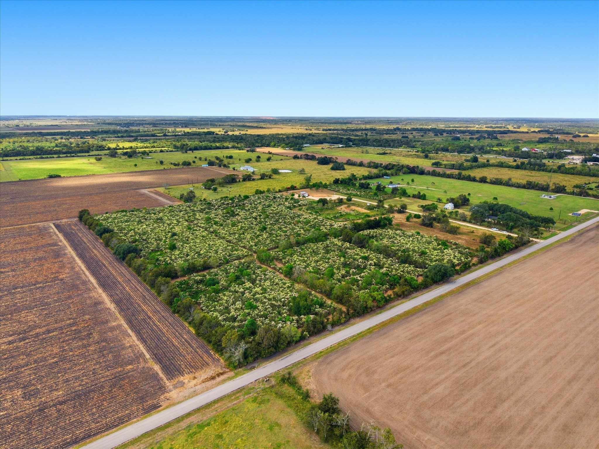 Lot 8 Cow Creek Road Damon, TX 77430 - Photo 5 of 12 a view of a city