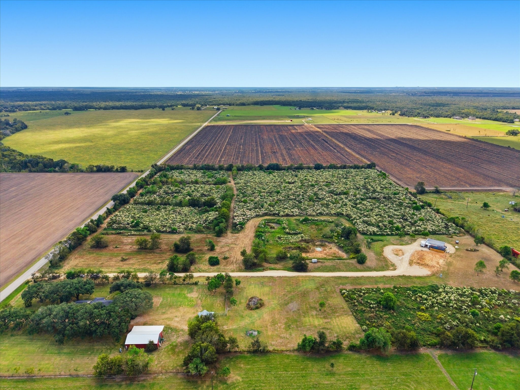 Lot 8 Cow Creek Road Damon, TX 77430 - Photo 9 of 12