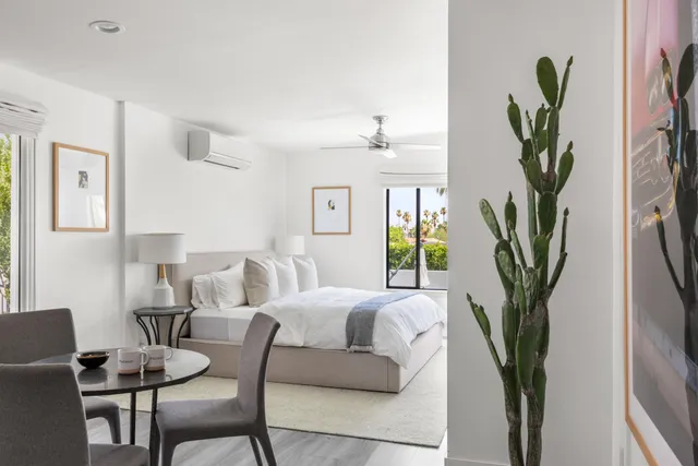 a living room with furniture a potted plant and a wooden floor