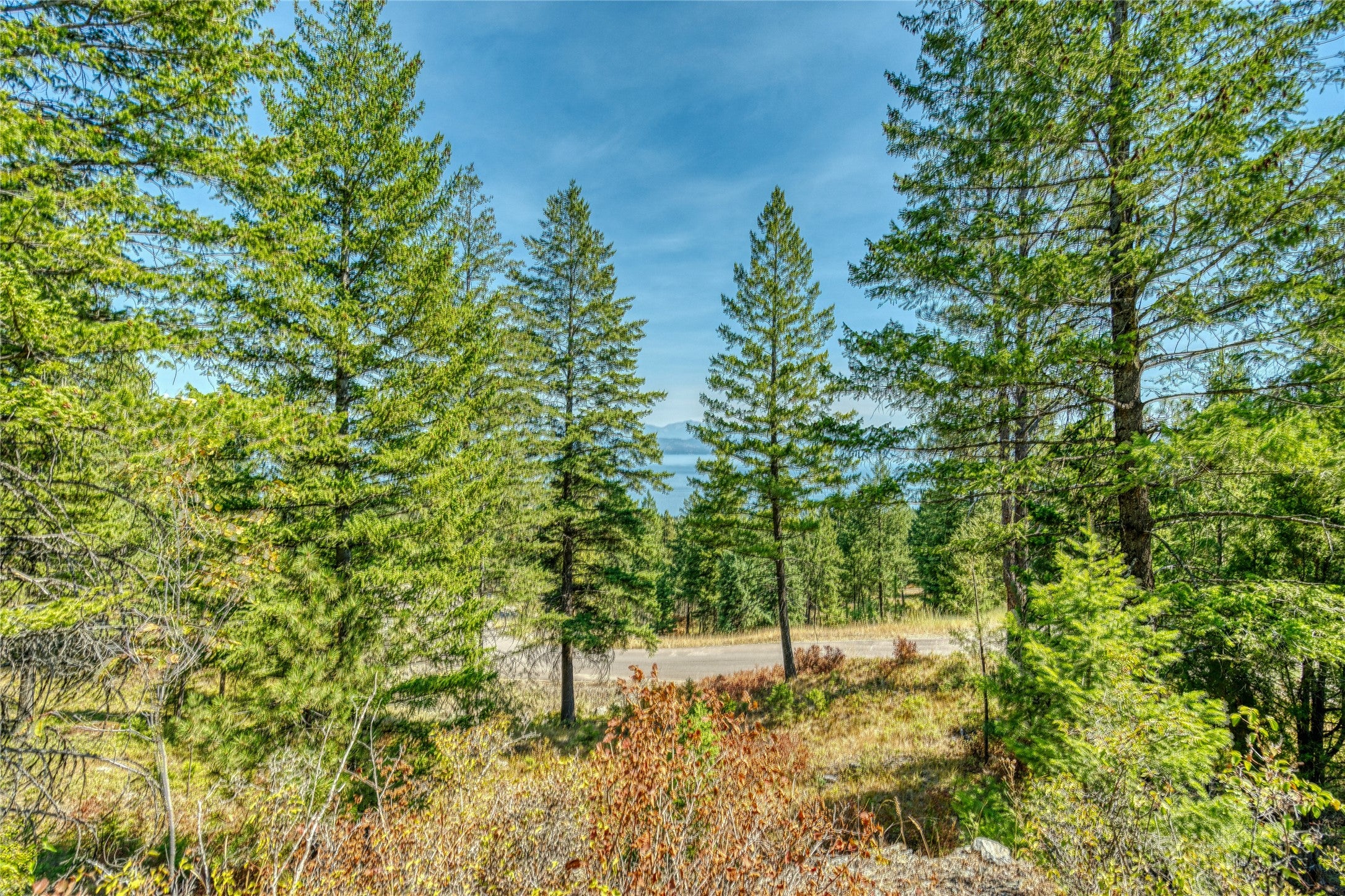 535 Bear Mountain Road Lakeside, MT 59922 - Photo 33 of 39 Gallery Image 33