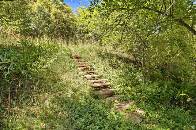6265 Emigration Canyon Road Emigration Canyon, UT 84108 - Photo 49 of 85 Gallery Image 49