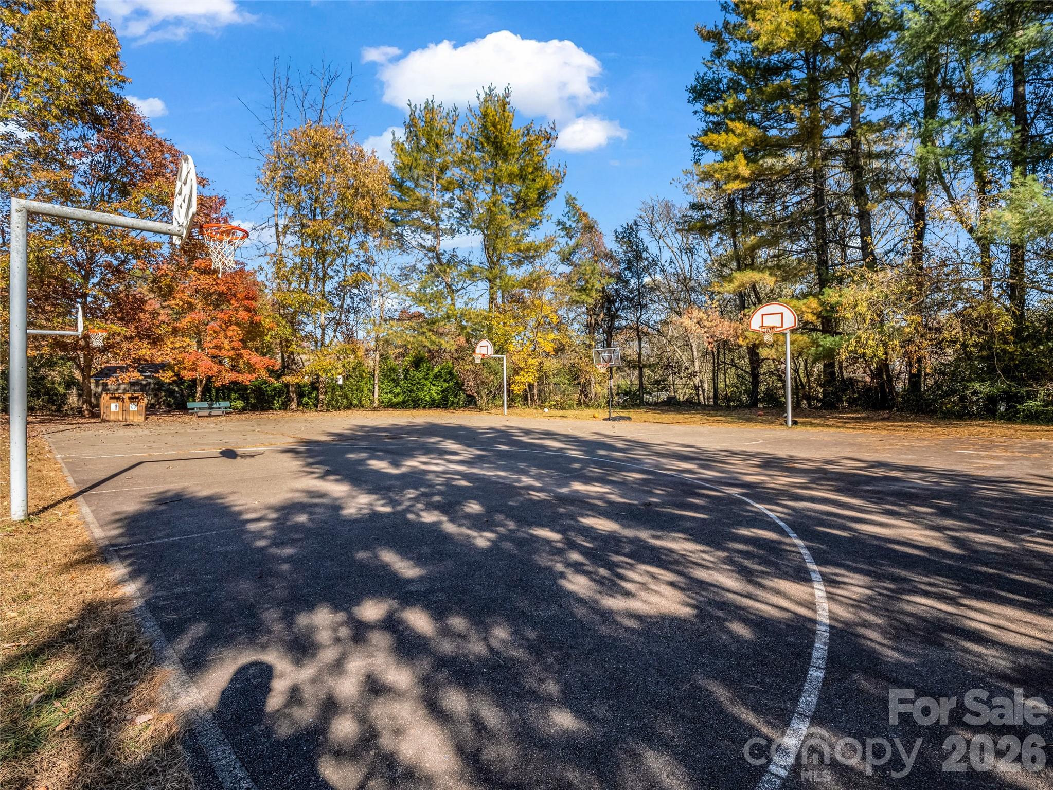 101 Bent Creek Ranch Road Asheville, NC 28806 - Photo 41 of 48