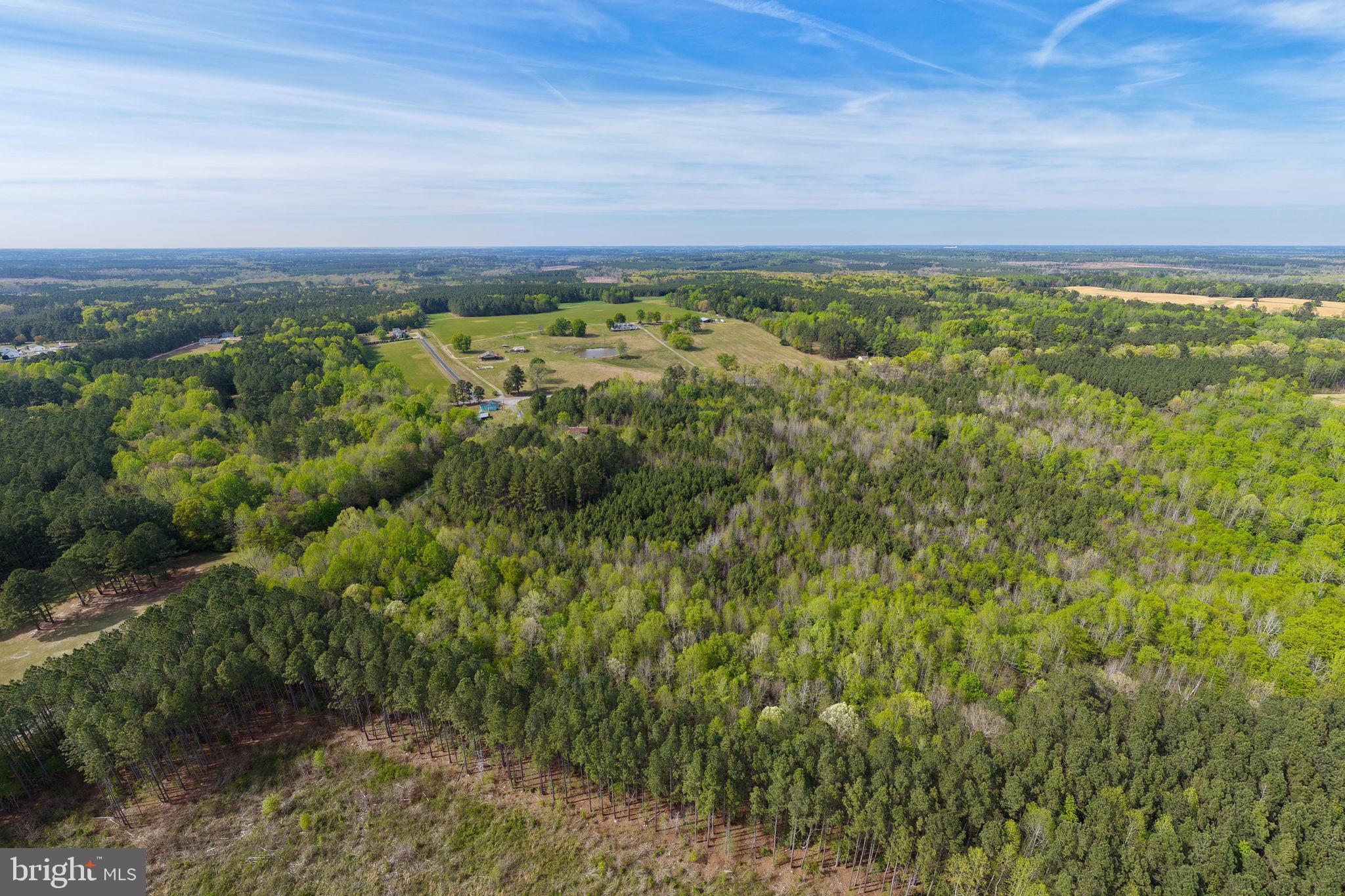 9518 Brink Road Emporia, VA 23847 - Photo 11 of 29 a view of a field with an ocean
