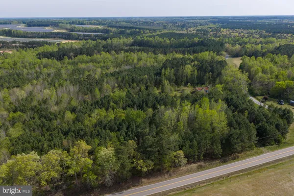 a view of a lush green field with lots of tall trees