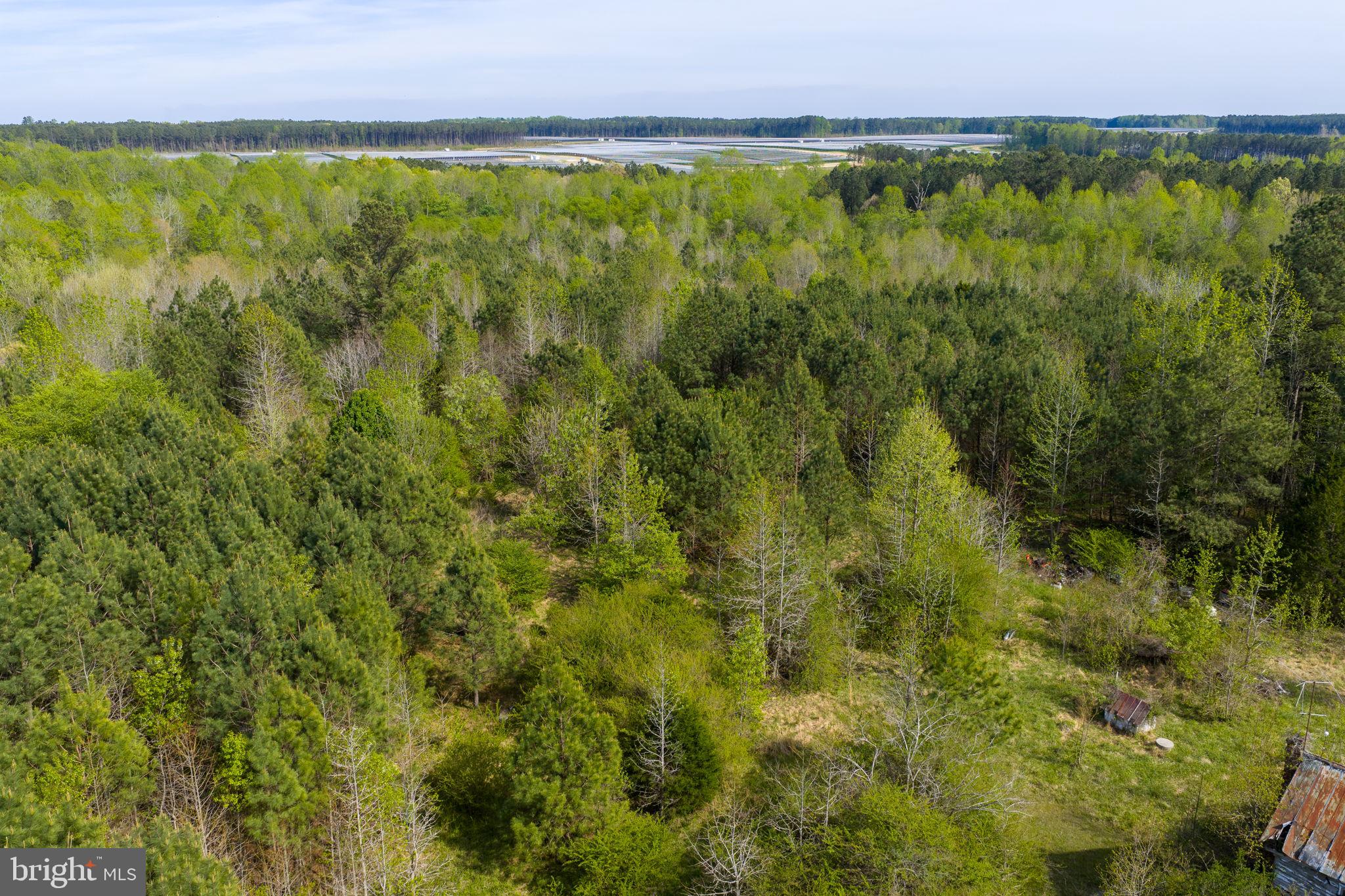 9518 Brink Road Emporia, VA 23847 - Photo 18 of 29 a view of a field with an ocean view
